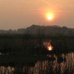 Sunset in Ossemeersen, Gent, East Flanders, Belgium