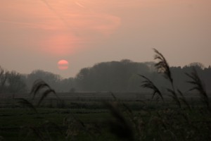Sunset in Ossemeersen, Gent, East Flanders, Belgium